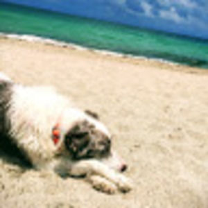 Meet your Posher, Tara